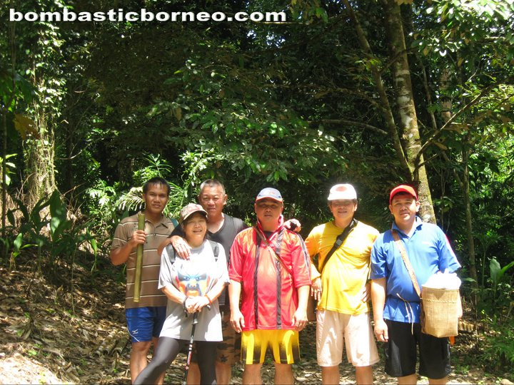 Borneo height, Sarawak, kuching, stream, waterfall, nature