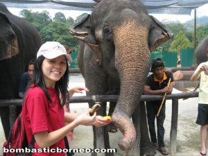 Malaysia, Pahang, nature, adventure, outdoor, native, Temerloh, elephant sanctuary, wildlife conservation, orang asli, zoo, deer land, triang, lanchang