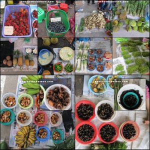Borneo, Malaysia, Sarawak, sibu, kanowit, dabai. local, exotc delicacy, longhouse, iban, sea dayak, native, olive, fruit, rajang river, vegetables, market, durian, local food