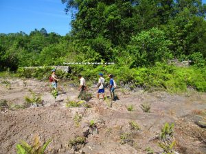 Borneo, Kalimantan barat, siding, patie cave, rock climbing, bird nest, swiflet, adventure, mountain, dayak, land, bidayuh, jungle, transborder, kampung padang pan, gumbang