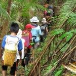 stream trekking, Belian, ironwood, waterfall, Uking Longhouse, adventure, Borneo, Dayak Iban, tribal, Betong, Sarawak, Malaysia, Culture, nature