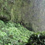 cave, waterfall, adventure, air terjun, Nature, bengkayang, Borneo, dayak, Dusun Melayang, hiking, indonesia, Kalimantan Barat, Seluas, Sahan, trekking, West Kalimantan
