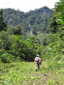 adventure, Balleh river, Borneo, hiking, hornbill, Hose mountain, Iban, Kapit, malaysia, Mujong, outdoor, Rajang river, Sarawak, trekking, wild boar, wild plants, wildlife, headhunter, jungle, hunting