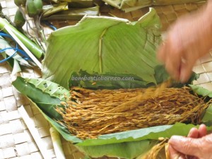 Bau, Borneo, culture, dayak, gawai, indigenous, Kampung Padang Pan, Kuching, Malaysia, native, paddy harvest festival, Sarawak, spiritual, traditional, tribal, tribe