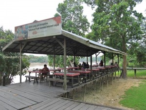 adventure, bike ride, Central Kalimantan Tengah, crocodile, Dayak Ngaju, eagle, family picnic, hornbill, Indonesia, Sungai Kahayan River, monkey, Obyek wisata, outdoor,