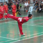 Chinese culture, chinese martial arts, Chinese New Year, competition, festival, Kuching event, Federation, sports, traditional, 舞狮, Dragon dance,