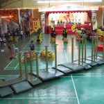 Chinese culture, chinese martial arts, Chinese New Year, competition, festival, Kuching event, Federation, sports, traditional, 舞狮, Dragon dance,