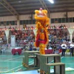 Borneo, Chinese culture, chinese martial arts, Chinese New Year, competition, festival, Kuching event, Federation, sports, traditional, 舞狮,