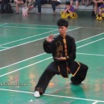Borneo, Chinese culture, chinese martial arts, Chinese New Year, competition, festival, Kuching event, Federation, sports, traditional, 舞狮,