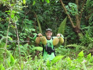 Borneo, exotic delicacy, exotic fruit, hiking, jungle, nature, Nutritious, outdoors, Pasir Pandak, pasir panjang, rainforest, Santubong, Sungai Buah, Tourism, tourist attraction, trekking, Wild durian hybrid,