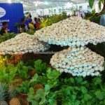 agricultural engineering, Agriculture, Agro-bazaar, Agrotechnology, Borneo, convention, event, exhibition, fisheries, Hari Peladang, HPPNK, Innovation, Invention, , Modernisation, Nelayan, Penternak, seminars, national,