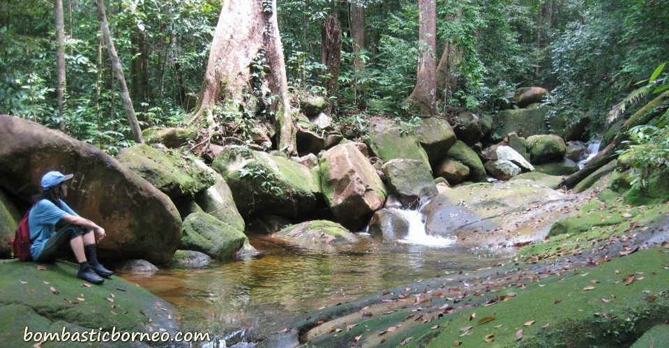 air terjun, gully, Gunung Santubong, hiking, jungle, Kuching, malaysia, rainforest, Santubong National Park, Tourism, tourist attraction, travel guide, trekking, Waterfall
