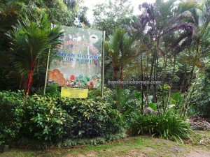 Wildlife, Borneo, Penampang, West Coast Divsion, Taman Botani, Zoological, hiking, Wreathed hornbill, jungle, nature, outdoors, Tourism, tourist attraction, travel guide, Useful information, 旅游景点, 沙巴野生动物园
