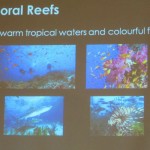 beach, underwater, biodiversity, ecosystems, fisheries, importance, Borneo, marine life, 沙捞越