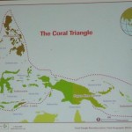 beach, underwater, biodiversity, ecosystems, fisheries, importance, Kuching, malaysia, Sarawak, 沙捞越