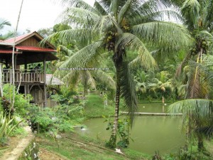 accommodation, village, special lodging, Kuching, Malaysia, adventure, backpackers, destination, authentic, indigenous, Dayak Selako, Ethnic, tribal, holiday, Tourism, tourist attraction, 沙捞越,