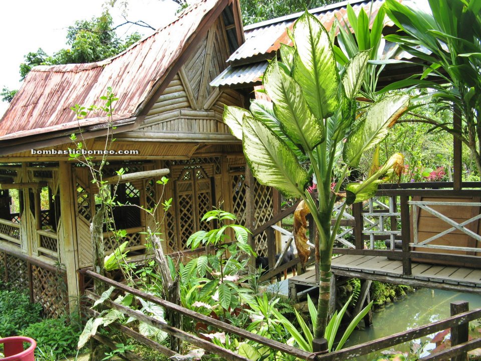 Kuching, Bamboo house, accommodation, village, homestay, backpackers, authentic, indigenous, Dayak Selako, tribal, tribe, family vacation, fruits farms, tourist attraction, transborder, travel guide, 沙捞越,