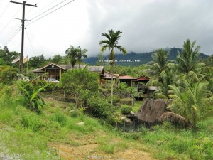 village, homestay, Borneo, Lundu, Malaysia, Kuching, adventure, destination, authentic, indigenous, native, family vacation, holiday, tourist attraction, transborder, travel guide, 沙捞越,