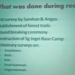 educational talk, Borneo, Malaysia, conservation, biodiversity, ecotourism, insects, research, expedition, faunal, nature, rainforest, useful information, wildlife sanctuary