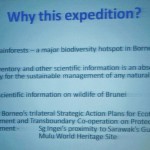 Borneo, Brunei Darussalam, conservation, biodiversity, ecotourism, insects, research, expedition, faunal, forestry, nature, rainforest, useful information, wildlife sanctuary