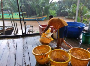 Stingless Jellyfish Processing Factory, exotic delicacy, adventure, backpackers, Betong, Borneo, Malaysia, malay fishing village, homestay, Tourism, tourist attraction, travel guide, Maludam National Park, 沙捞越婆罗洲, 水母