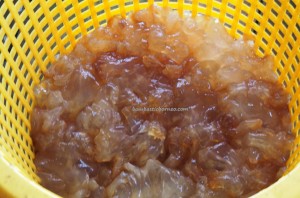 Kilang proses, Stingless Jellyfish Processing Factory, exotic delicacy, nature, backpackers, Betong, Borneo, ethnic malay, fishing village, homestay, Tourism, tourist attraction, travel guide, Taman Negara, 婆罗洲水母