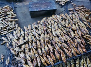 Keropok Tahai, Smoked fish, fishy snacks, exotic delicacy, seafood, fishing village, Malay, traditional, backpackers, Borneo, Limbang, Tourism, travel guide, 老越砂拉越, 美食