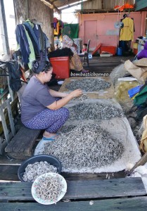 Ikan Tahai, fishy snacks, exotic delicacy, fishing village, Punang, authentic, backpackers, destination, Ethnic, malay, Borneo, Lawas, tourist attraction, crossborder, 婆罗州旅游景点
