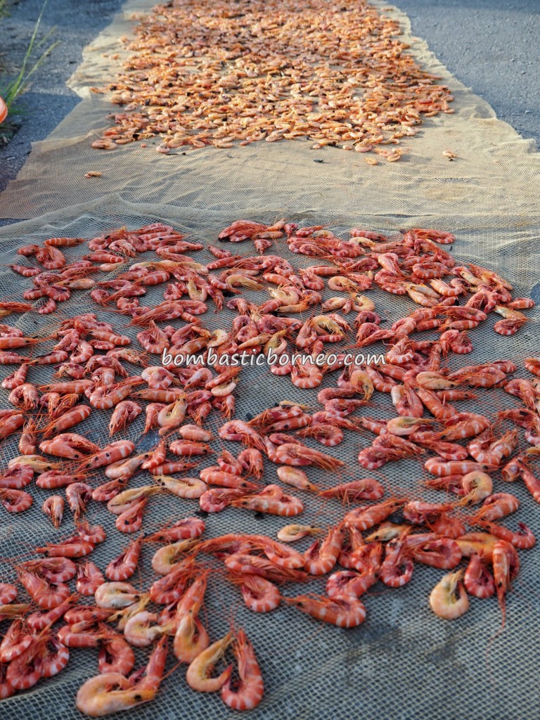 Malay Fishing Village, authentic, traditional, backpackers, destination, Borneo, Malaysia, Tourism, tourist attraction, travel guide, seafood, exotic delicacy, dried shrimp, prawn, transborder, 砂拉越旅游景点,