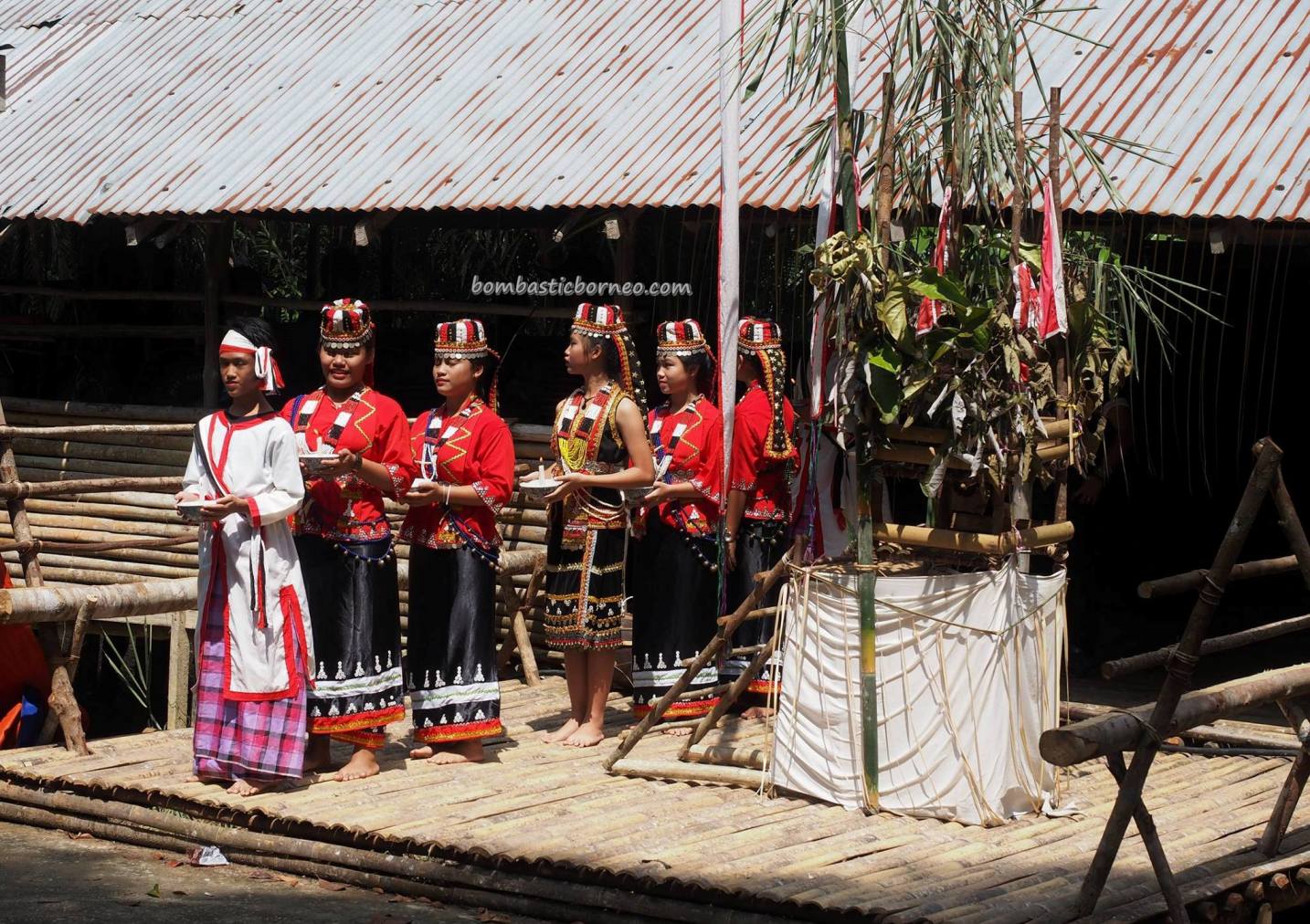 Paddy Harvest Festival, authentic, traditional, culture, event, Padawan, Kuching, Sarawak, Malaysia, Dayak Bidayuh, native, tribe, travel guide, crossborder, 砂拉越婆罗洲, 比达友族部落丰收节日