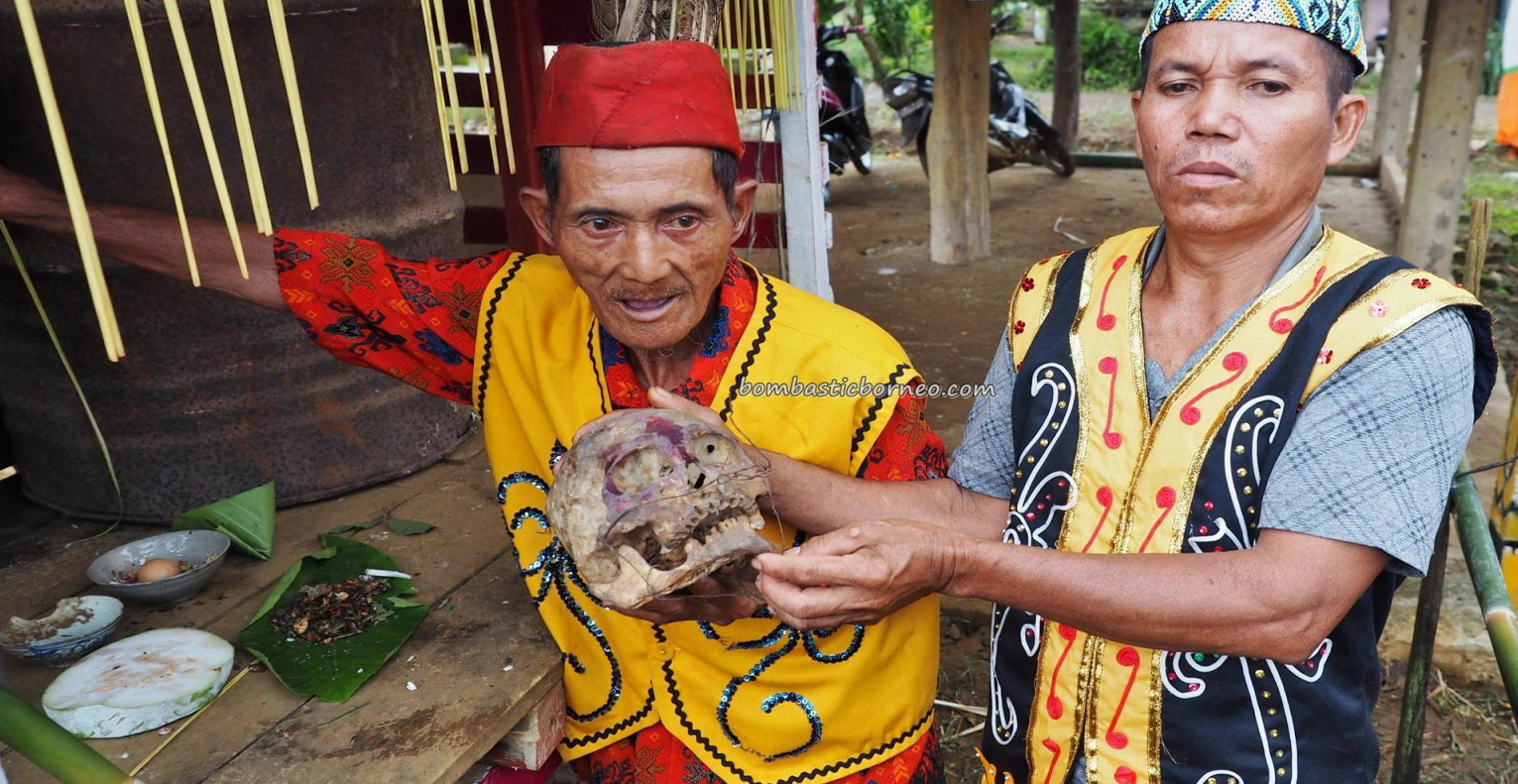 authentic village, traditional, culture, ritual, skull cleansing, feeding, Borneo, West Kalimantan, native, tribal, Tourism, tourist attraction, travel guide, transborder, 婆罗洲西加里曼丹, 原住民丰收节日