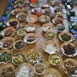 Rumah Betang Raya Dori Mpulor, longhouse, paddy harvest festival, thanksgiving, destination, backpackers, authentic, traditional, backpackers, culture, West Kalimantan, native, Tourism, travel guide, 婆罗洲印尼西加里曼丹, 上侯传统达雅克丰收节