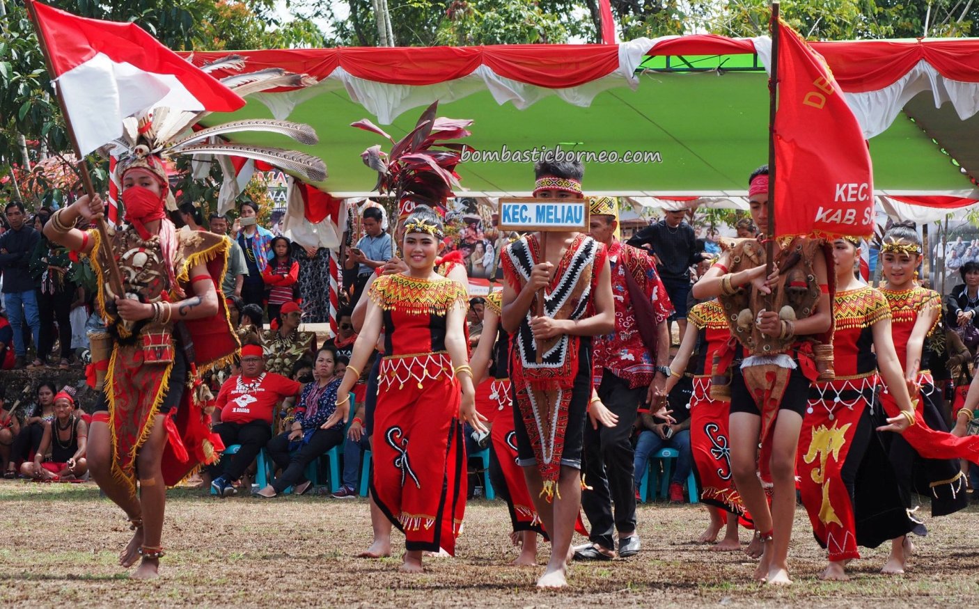 Dayak Sanggau, harvest festival, indigenous, backpackers, culture, event, Indonesia, native, tribal, Tourism, tourist attraction, travel guide, cross border, 穿越婆罗洲游踪, 印尼西加里曼丹, 达雅克丰收节日旅游