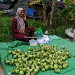 backpackers, destination, local market, native, Obyek wisata, Tourism, tourist attraction, town, traditional, travel guide, Transborneo, 婆罗洲游踪, 印尼西加里曼丹