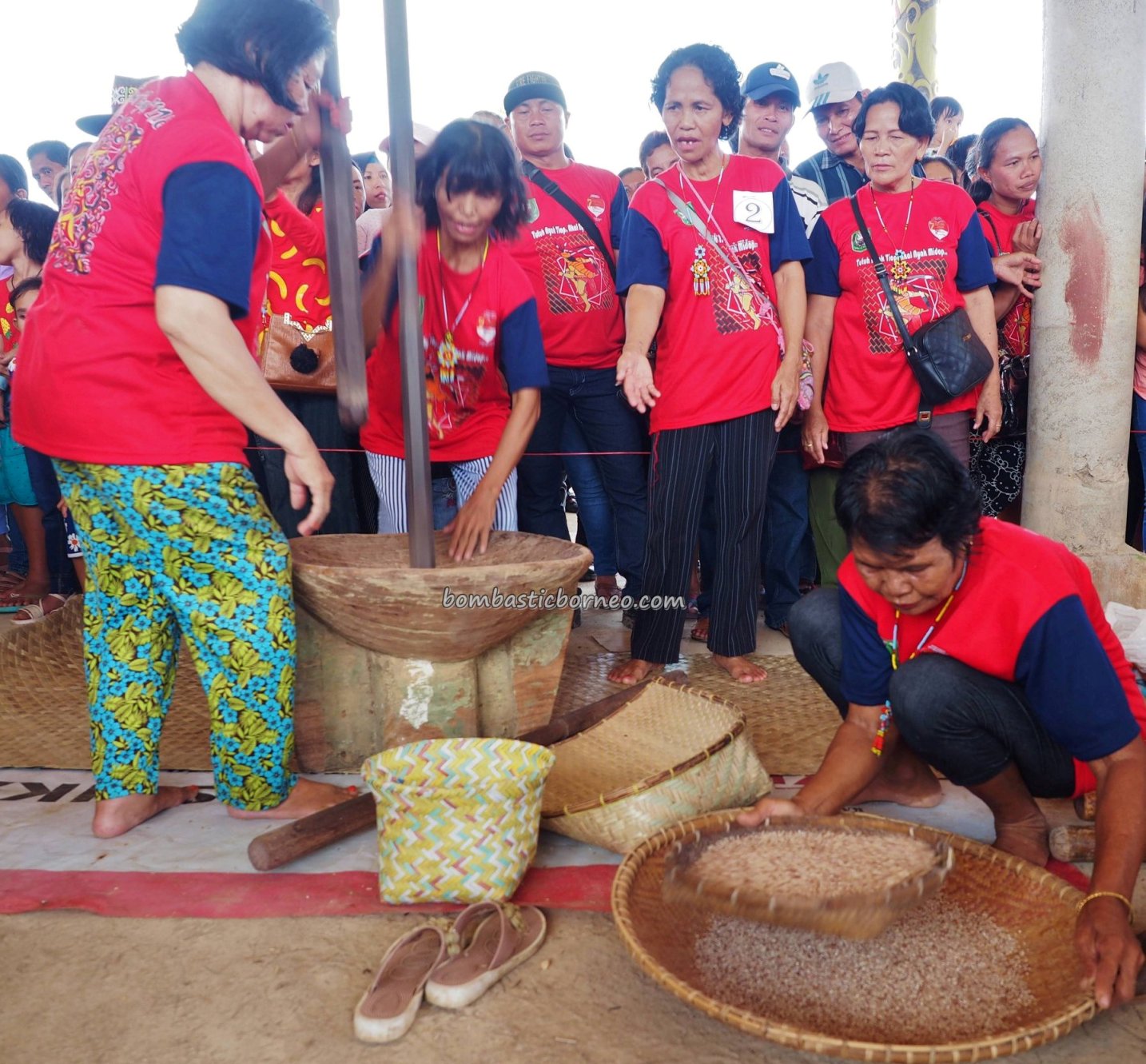 Sanggau, paddy harvest festival, thanksgiving, traditional, backpackers, event, culture, Indonesia, native, tribal, budaya, Tourism, travel guide, 婆罗洲印尼西加里曼丹, 传统土著丰收节日
