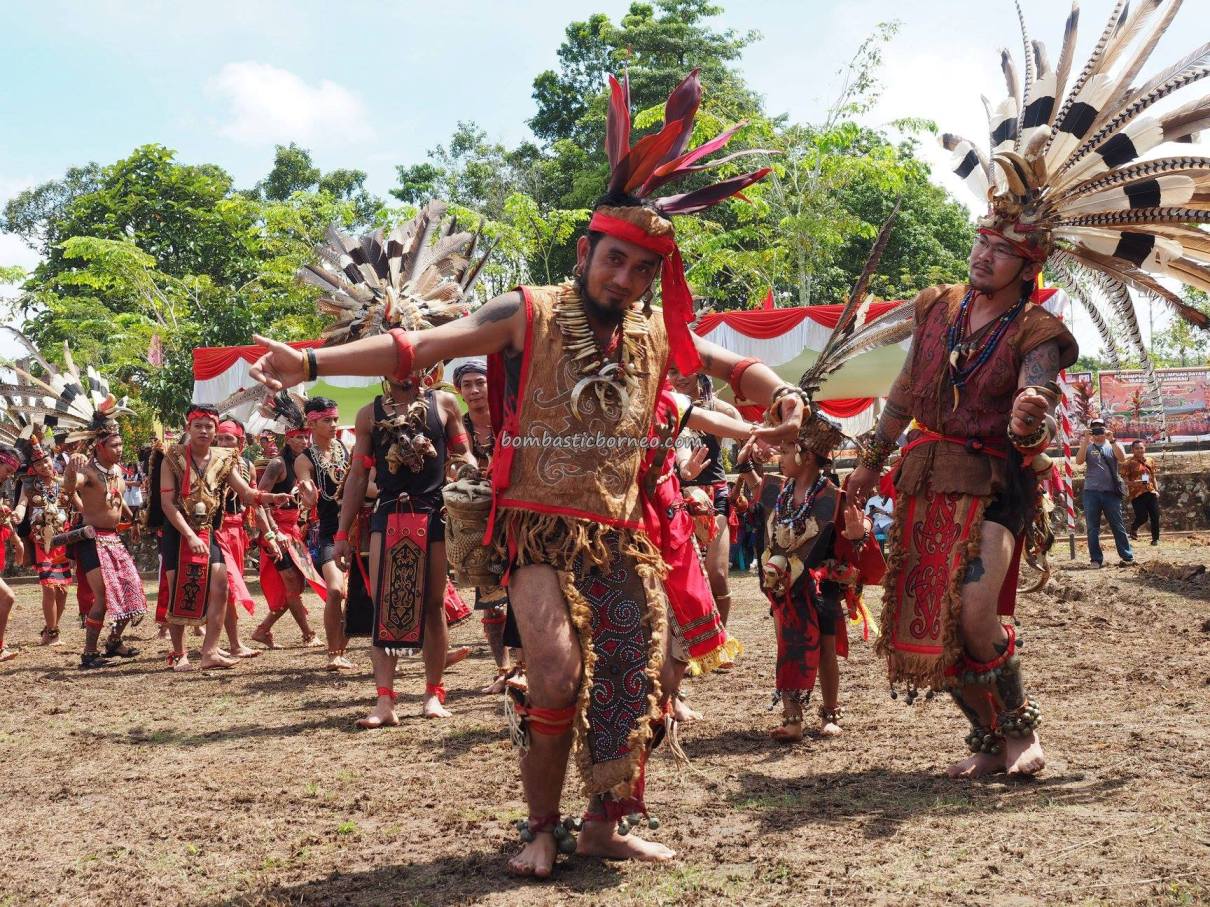 Gawai Dayak Sanggau, paddy harvest festival, indigenous, traditional, backpackers, culture, Borneo, Indonesia, Kalimantan Barat, native, tribe, wisata budaya, Tourism, travel guide, cross border,