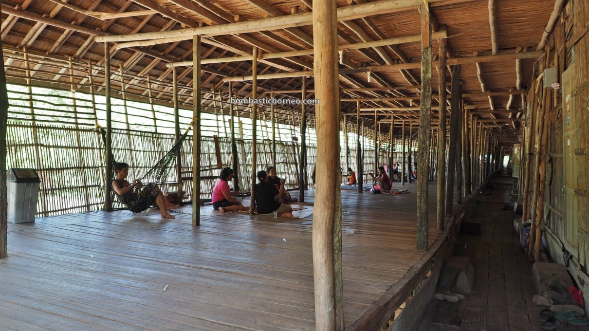 longhouse, authentic, Traditional, culture, Sintang, Indonesia, West Kalimantan, native, tribe, Tourism, tourist attraction, Travel guide, Trans Border, 婆罗洲原住民传统长屋, 新钉旅游景点, 西加里曼丹达雅克部落