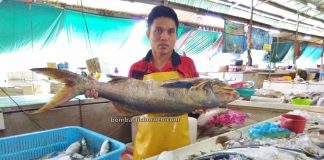 Pasar Sin On, local market, traditional, exploration, fish, seafood, lobster, makanan laut, Borneo, Malaysia, Sabah, Tawau, Tourism, tourist attraction, travel guide,