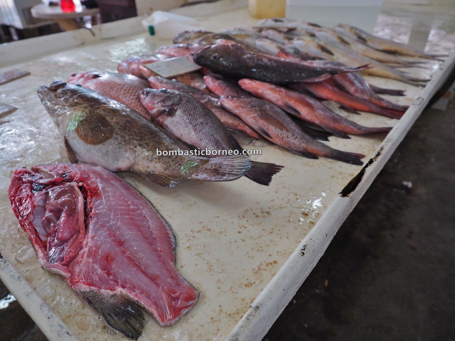Pasar Sin On, local market, backpackers, destination, fish, seafood, lobster, makanan laut, Borneo, Malaysia, Sabah, Tawau, Tourism, tourist attraction, travel guide,