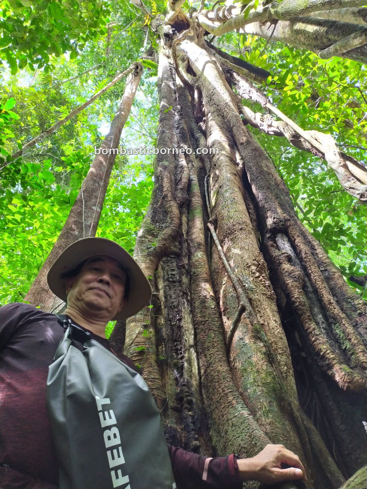 Bung Mawang, Kampung Serumah, Kampung Gayu, rainforest, adventure, nature, outdoor, jungle trekking, hiking, Kuching, Sarawak, Malaysia, tourist attraction, travel guide, Borneo,